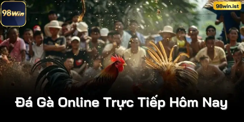 Đá Gà Online Trực Tiếp Hôm Nay