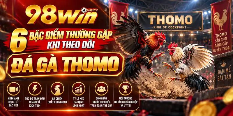 6 đặc điểm thường gặp khi theo dõi đá gà Thomo