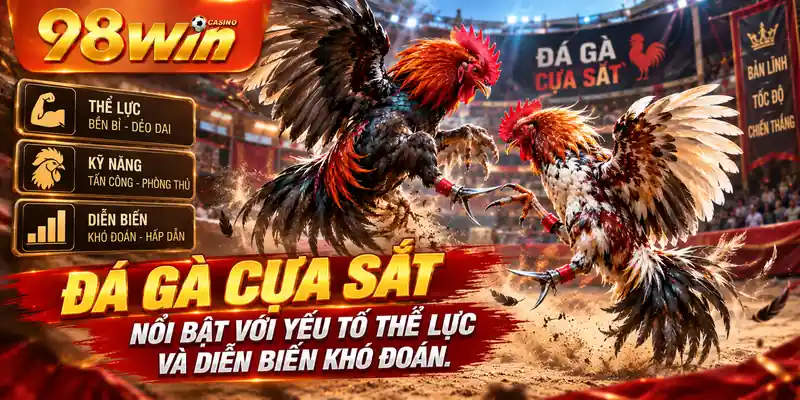 Đá gà cựa sắt nổi bật với yếu tố thể lực và diễn biến khó đoán.