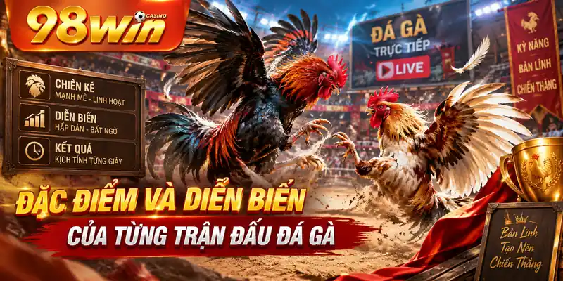 Đặc điểm và diễn biến của từng trận đấu đá gà.