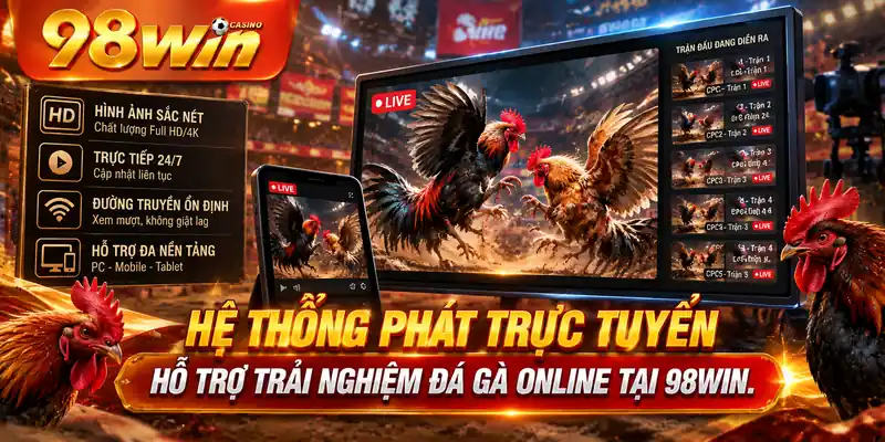 Hệ thống phát trực tuyến hỗ trợ trải nghiệm đá gà online tại 98WIN.